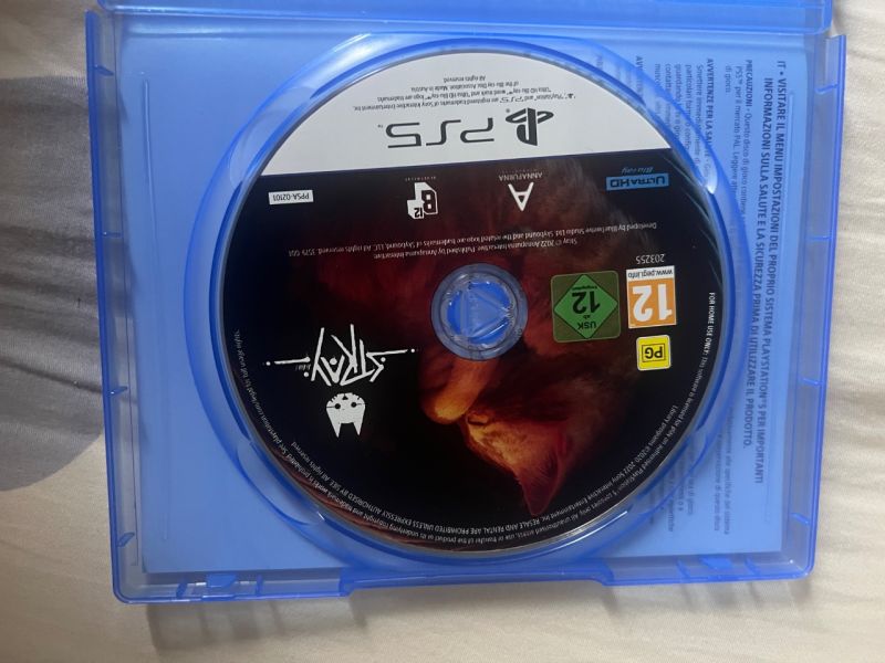 STRAY PS5