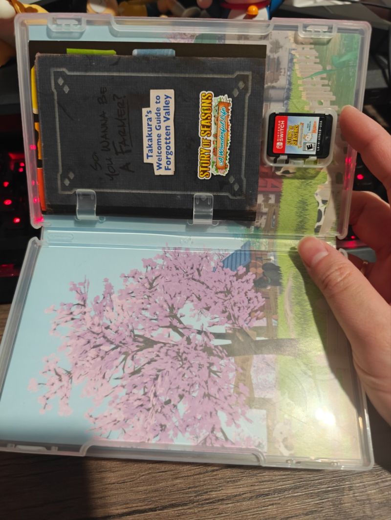 Nintendo Switch Game Story of Seasons A Wonderful Life