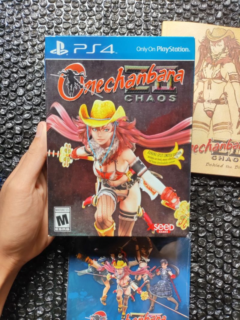 BD kaset Ps4 Onechanbara Z II Chaos