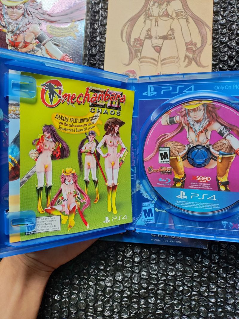 BD kaset Ps4 Onechanbara Z II Chaos