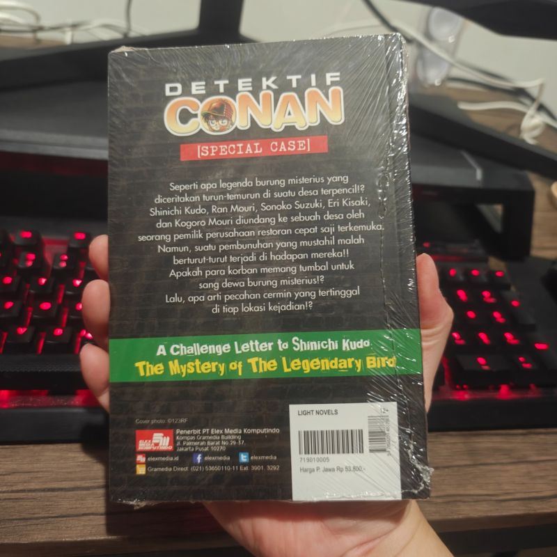 Light Novel Detective Conan A Challenge Letter to Shinici Kudo