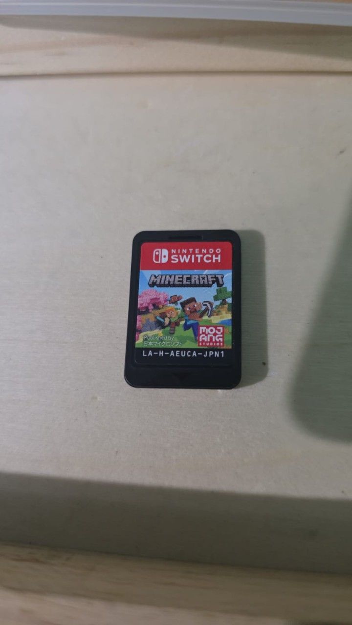 MINECRAFT SWITCH